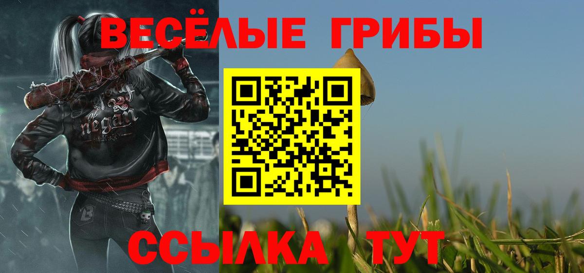 Галлюциногенные грибы Psilocybine cubensis  Галлюциногенные грибы Cubensis  Брянск  Вход с VPN 